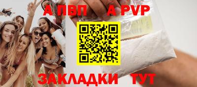 дмт Кингисепп