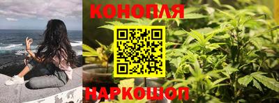дмт Кингисепп