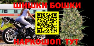 дмт Кингисепп