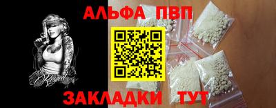 дмт Кингисепп