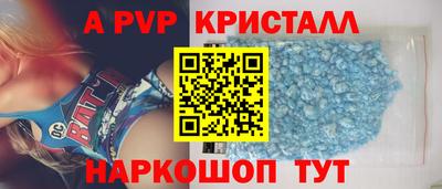 дмт Кингисепп