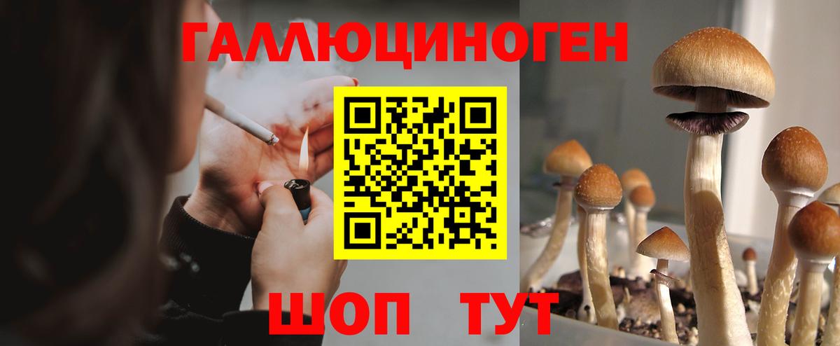 Коммунар  Псилоцибиновые грибы Psilocybine cubensis  Вход с VPN  Галлюциногенные грибы ЛСД 